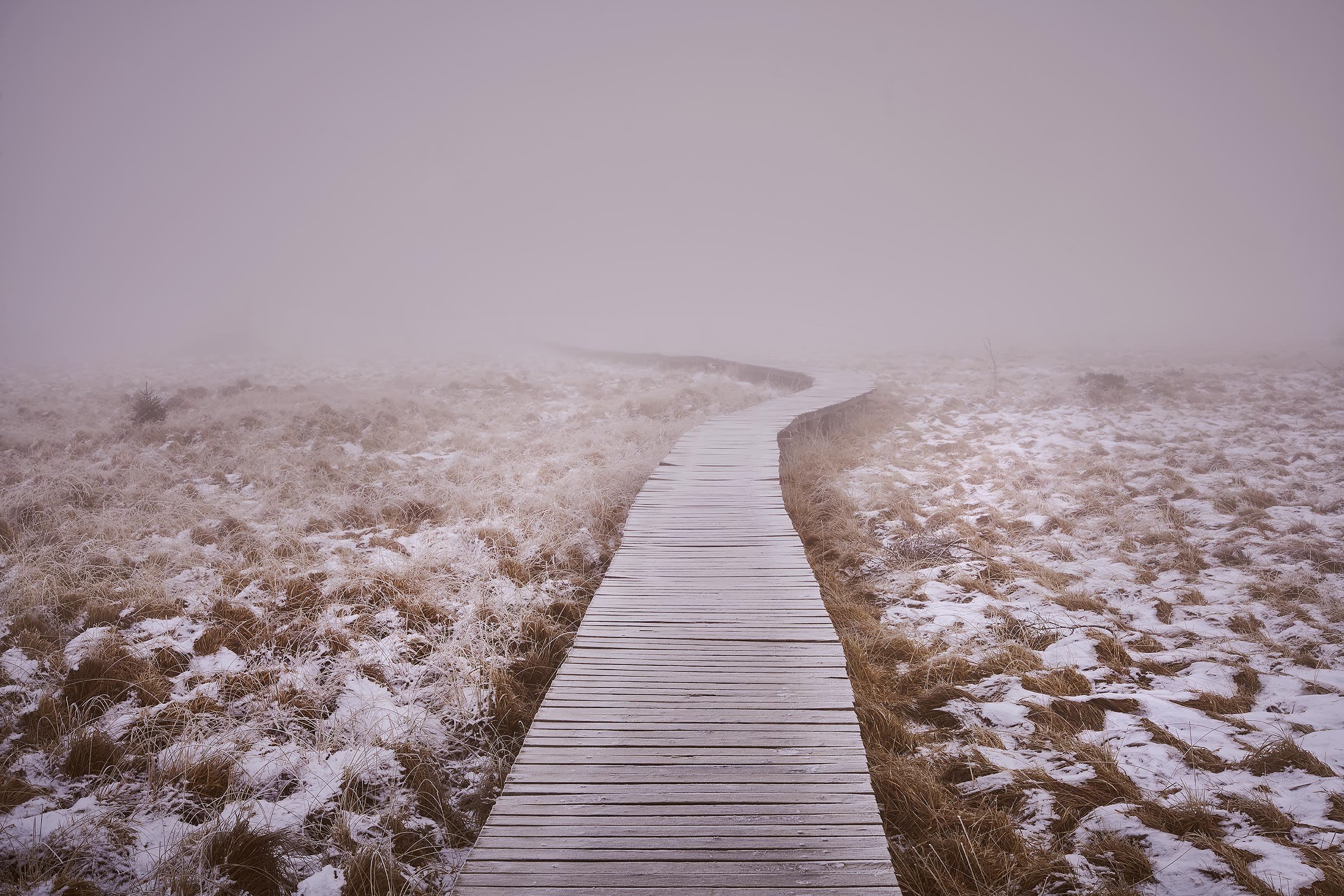 Hautes Fagnes, Belgien